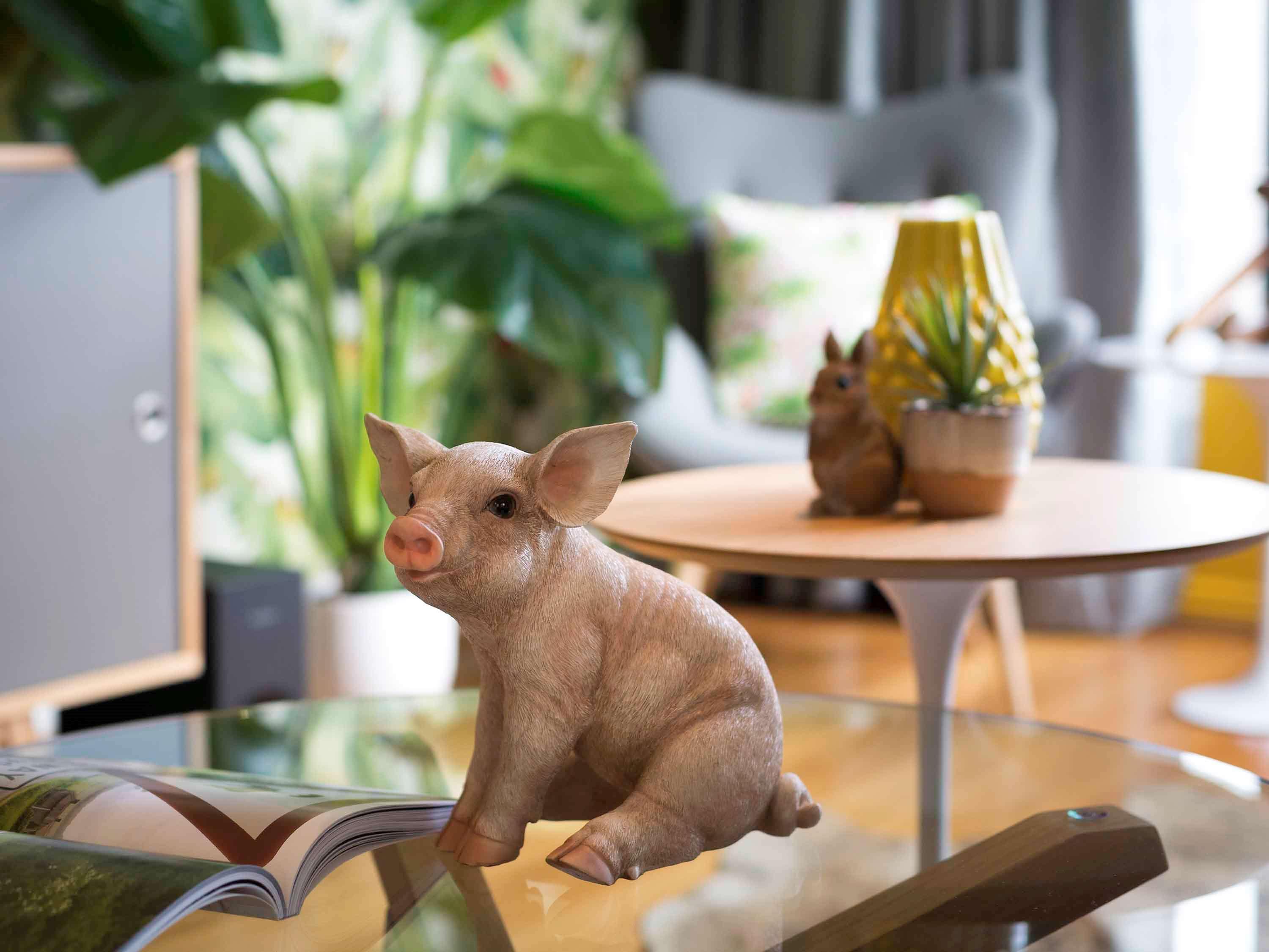 Готель Pullman Sydney Hyde Park Екстер'єр фото A piglet